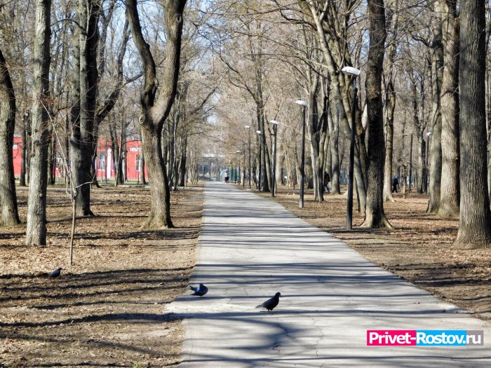 Георгиевский сквер Ростов на Дону