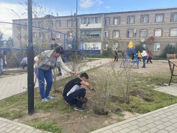 Озеленение Тыва