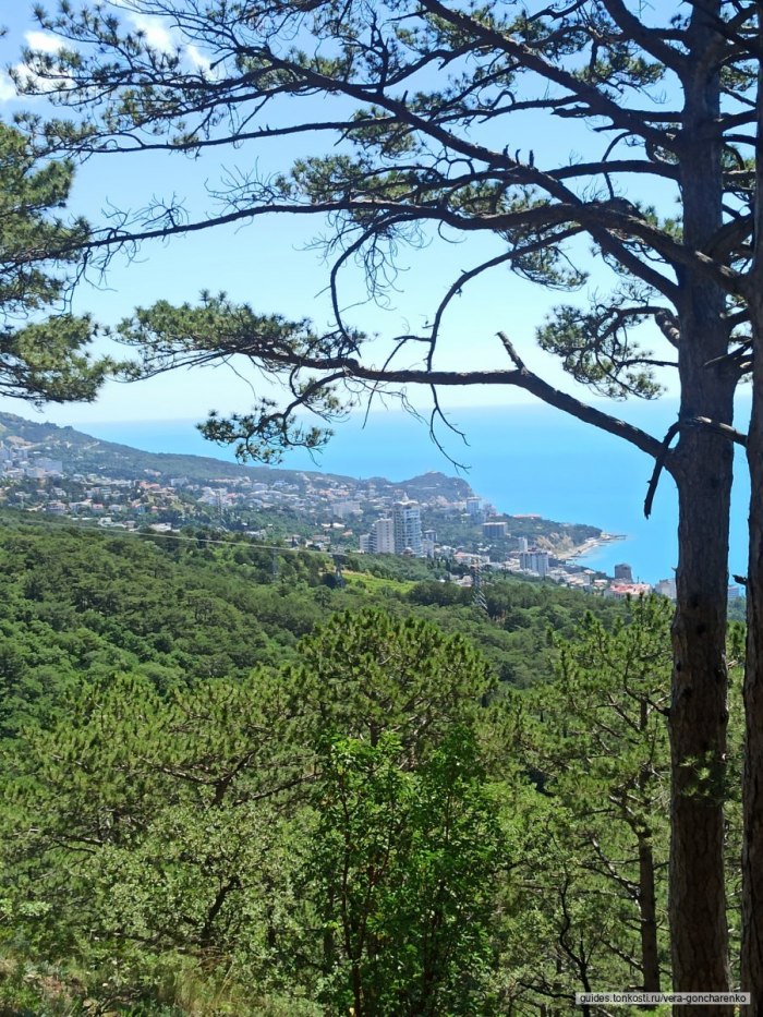 Ай Петри Крым рассвет
