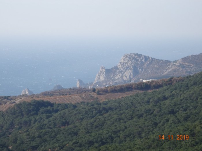 Алупка у трассы лесничество