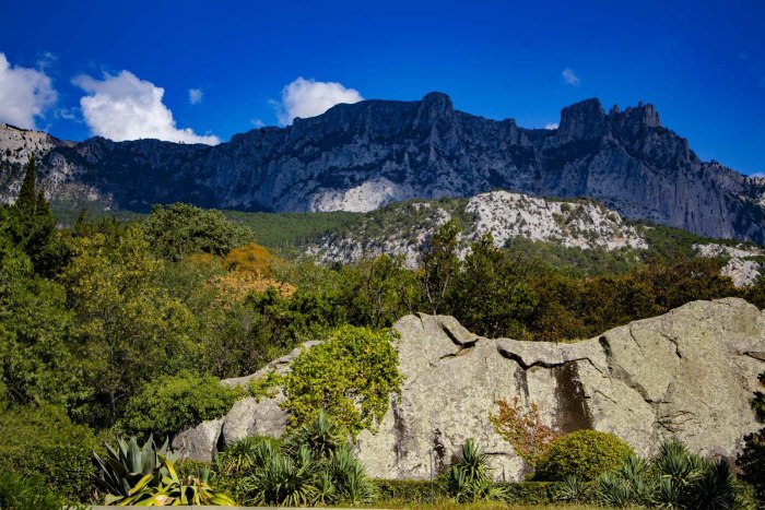 Алупка природа