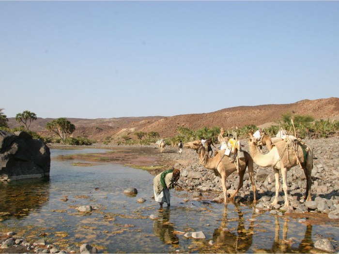 New European Cemetery, Djibouti Джибути