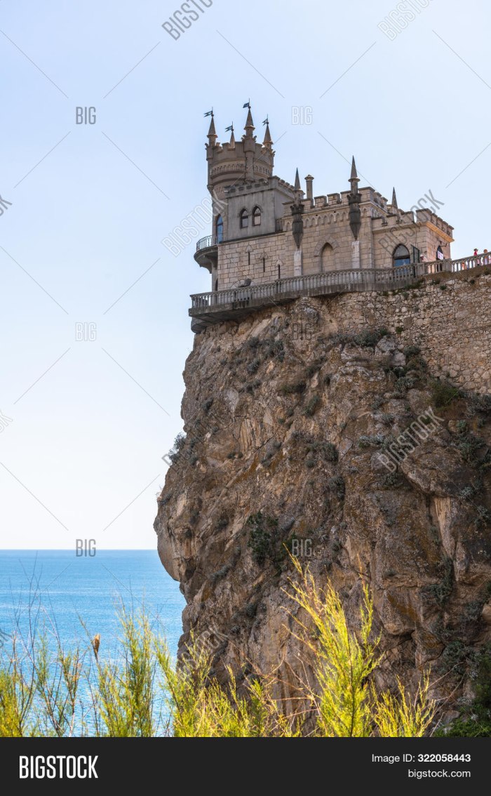 Удачные фото Крым гнездо