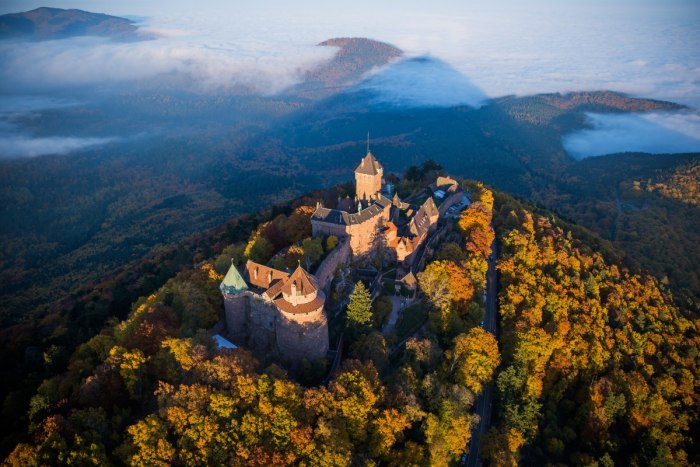 Bas-Rhin природа