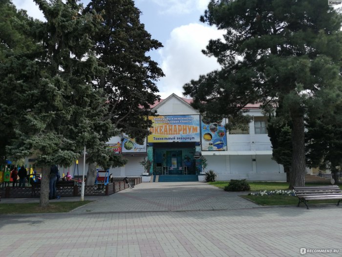 Геленджик город 2020