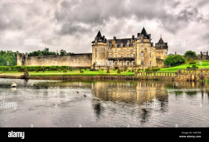 Chateau de la Roche Courbon