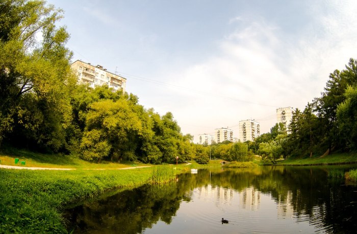 Аршиновский парк Москва