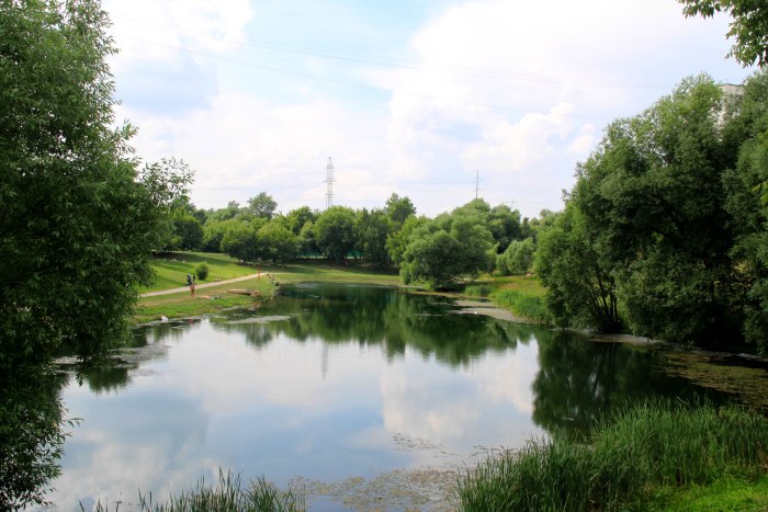 Корнеевские пруды в Царицыно