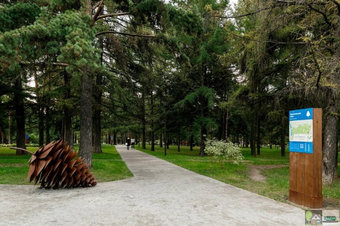 Ашириновский парк Царицыно