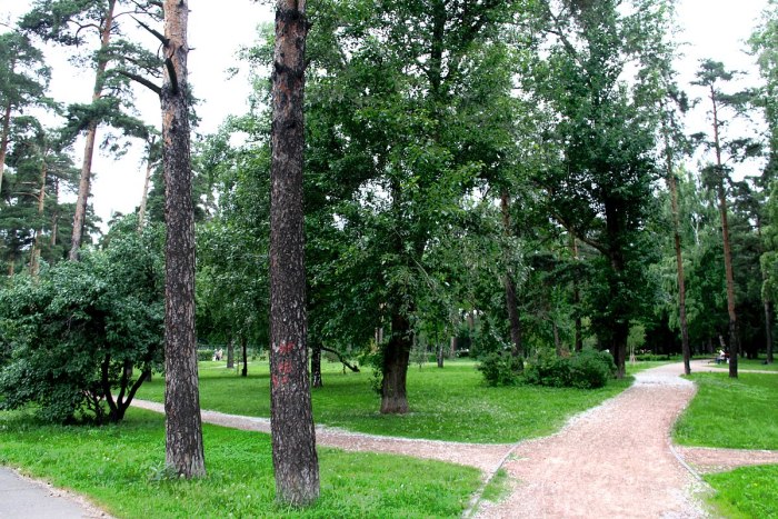 Парк Сосенки в Царицыно