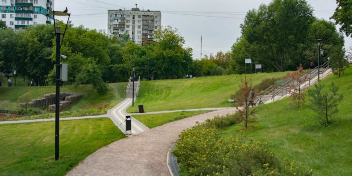 Аршиновский парк шишка