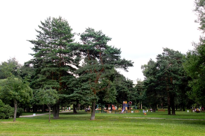 Аршиновский парк Москва