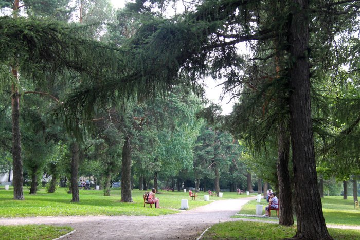 Аршиновский парк Царицыно
