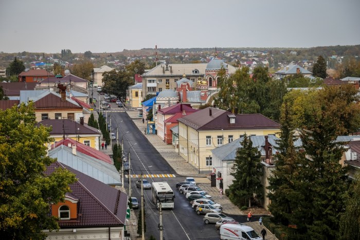 Население города Елец