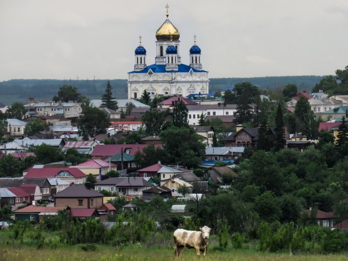 Город Елец рабочий посёлок