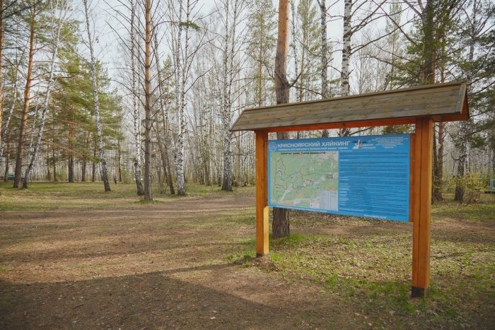 Гремячья грива в Красноярске