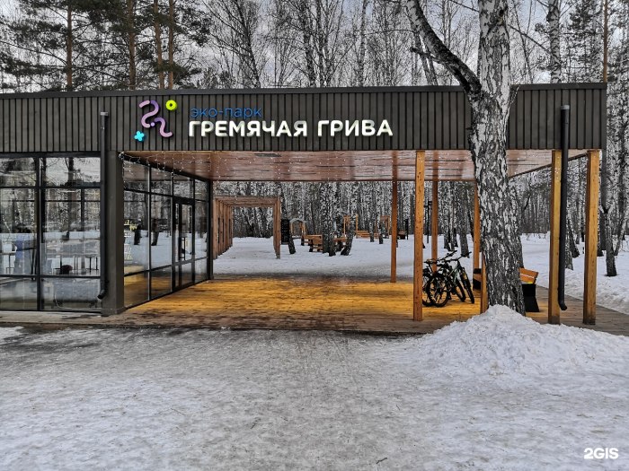 Гремячая грива Красноярск зимой