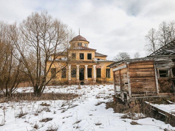 Усадьба Васильевское Кострома