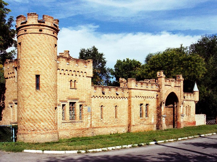 Замок Попова в Васильевке
