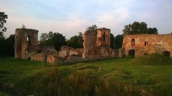 Беларусь замок Ольшанский