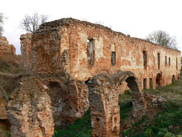 Беларусь замок Ольшанский