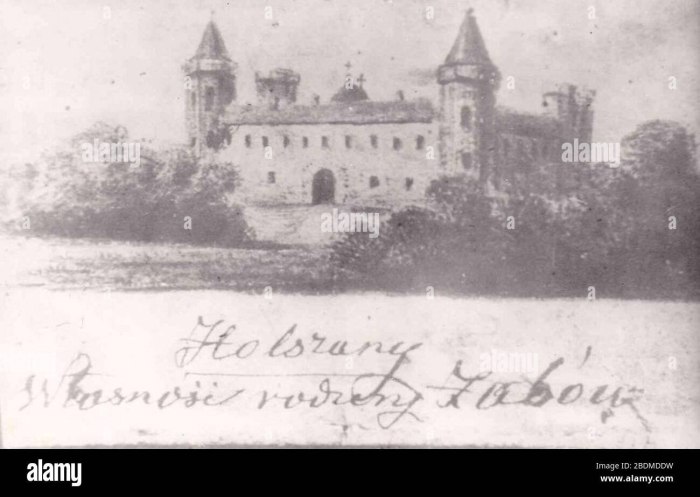 Гольшанский замок старые изображения