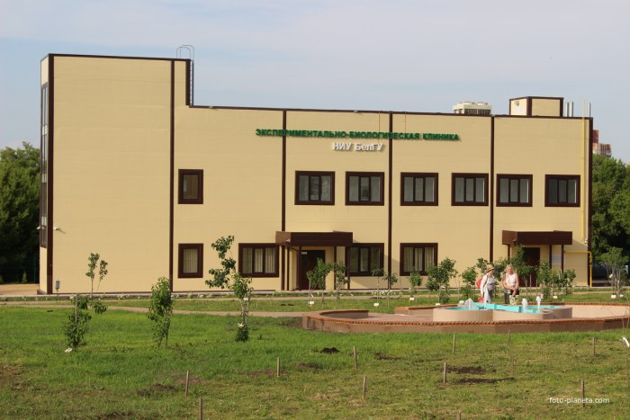 Белгород Ботанический сад БЕЛГУ