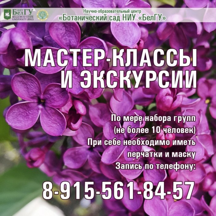 Экскурсия сирень Ботанический сад БЕЛГУ