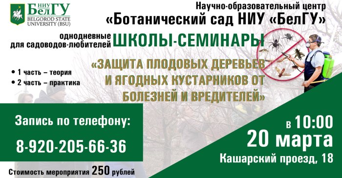 Реклама семинар обрезки деревьев НИУ БЕЛГУ