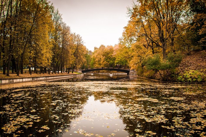 Центральный парк Смоленск