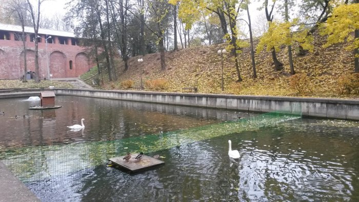Смоленск парк Лопатинский сад