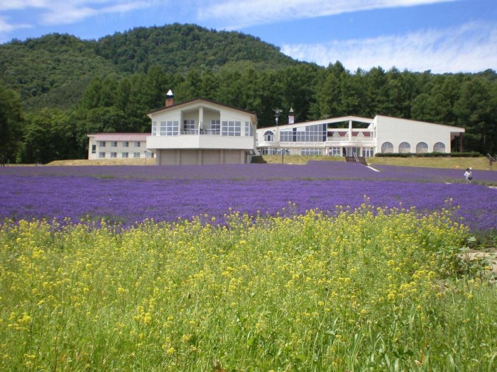 Фурано город