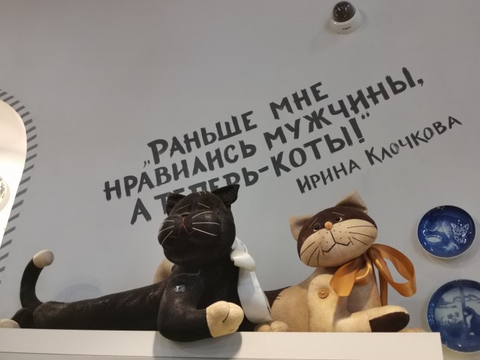 Зеленоградск табличка с котами