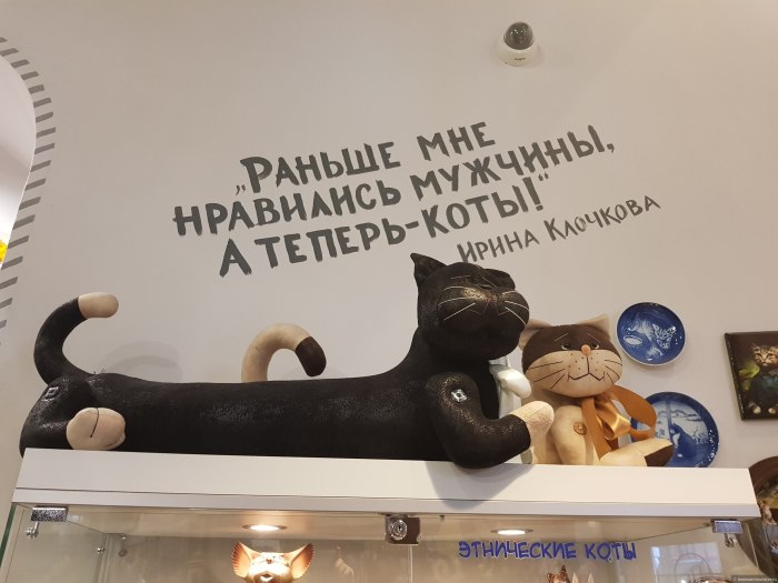 Музей кошек в Зеленоградске Калининградской области