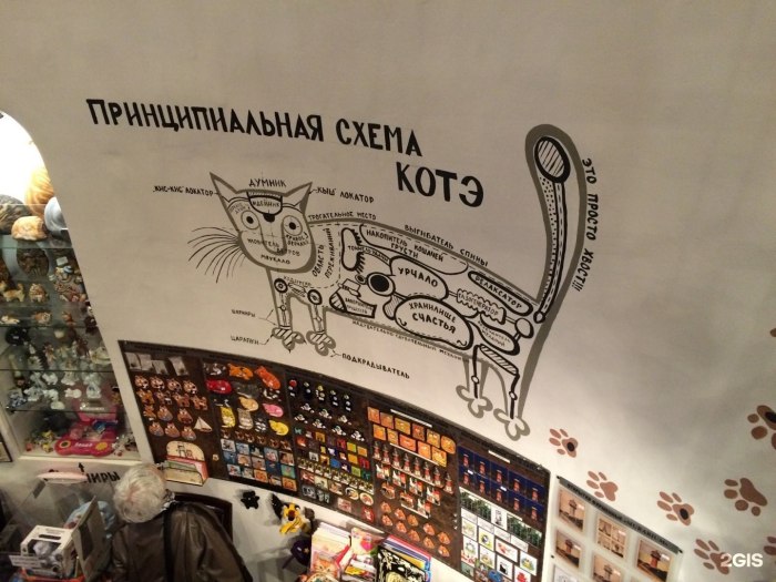 Зеленоградск город кошек музей