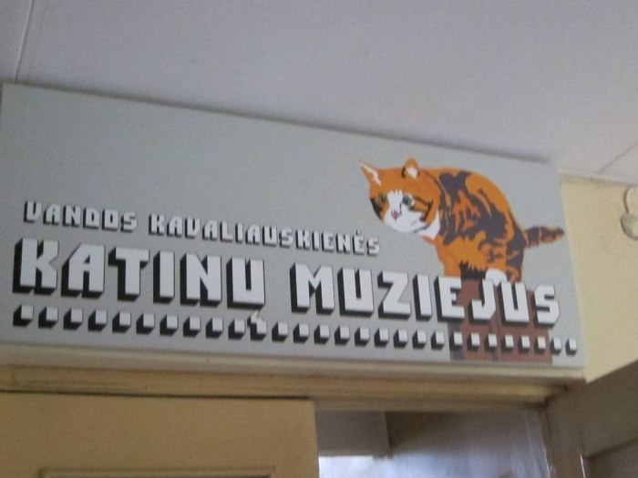 Схема кота в Калининградском музее Мурариум