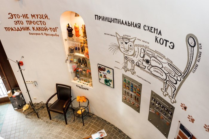 Зеленоградск музей кошек Мурариум