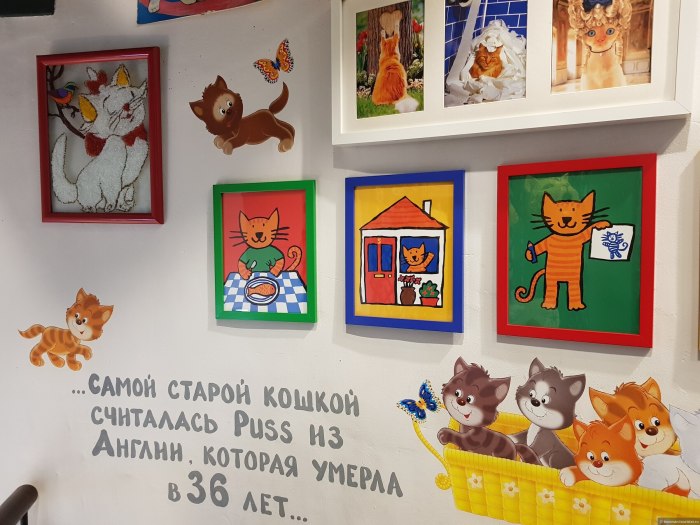 Мини музей кошек в детском саду