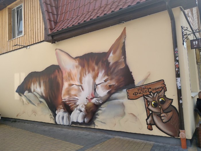 Зеленоградск стены с котами