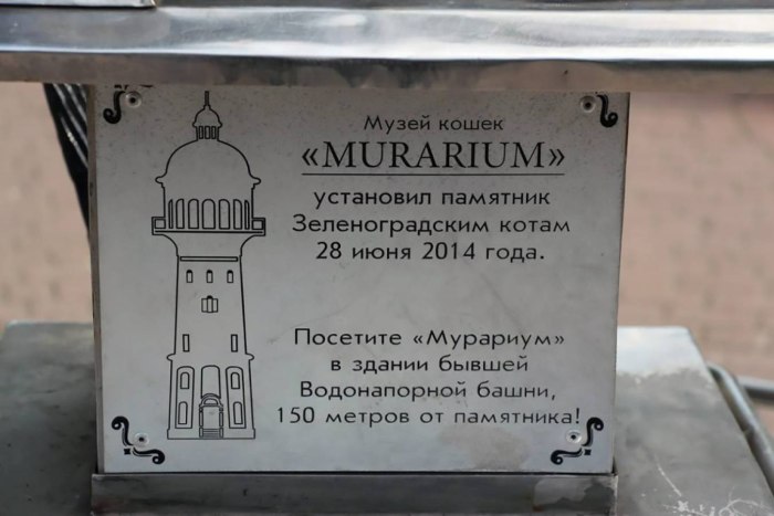 Памятник зеленоградским котам Зеленоградска