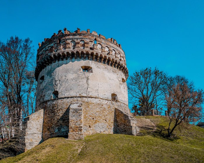 Острожский замок картина