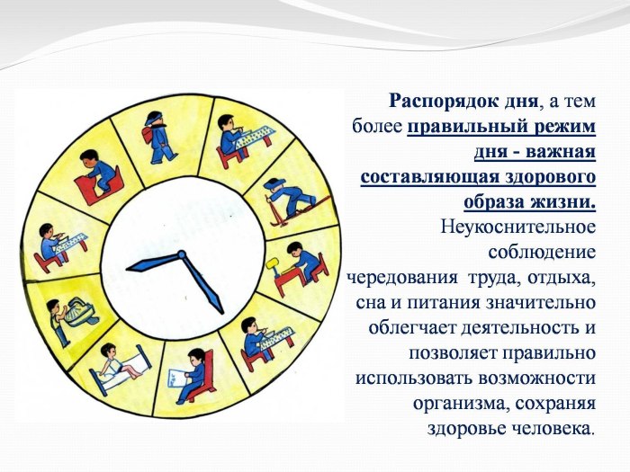 Распорядок дня