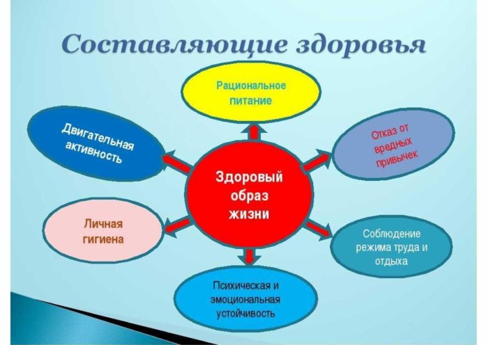 Составляющие здорового образа жизни человека