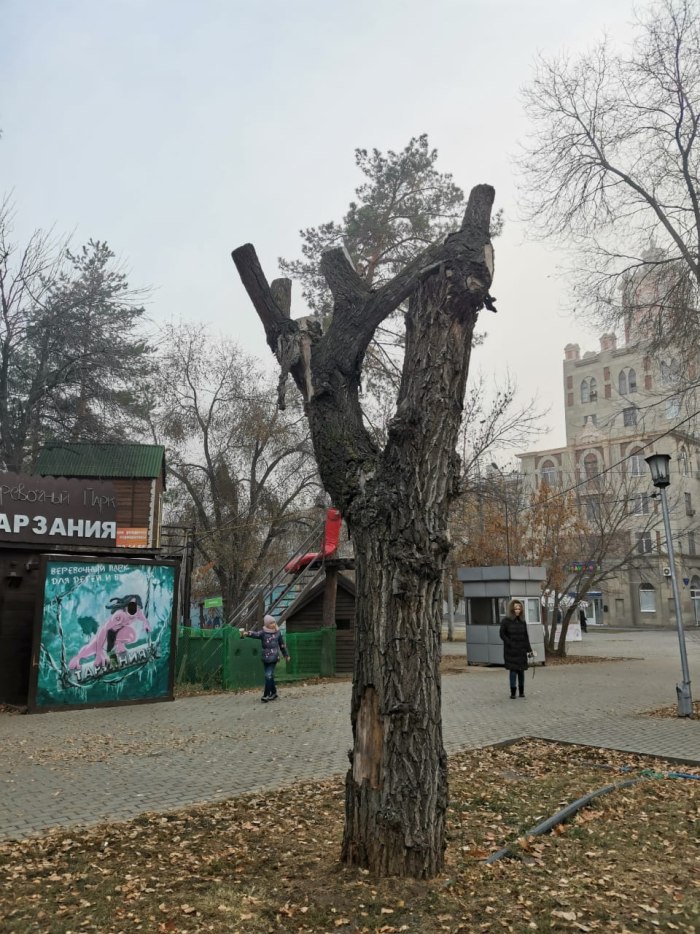 Горсад «Комсомольский парк» Волгоград