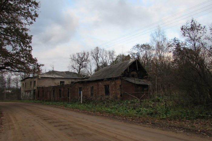 Деревня Копылок Пустошкинский район