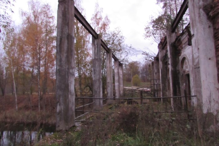 Копылок Пустошкинский район