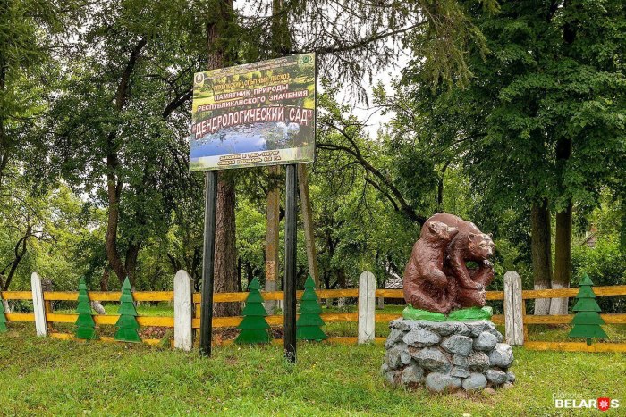 Дендрологический гороскоп