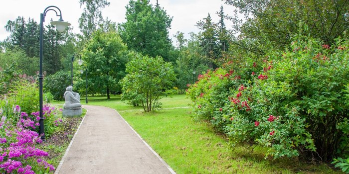 Парк Сокольники сирень кусты