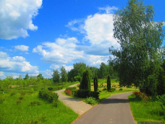Дендросад Беларусь