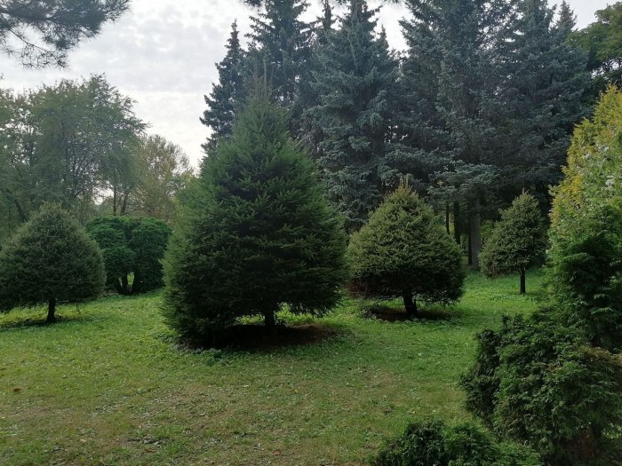 Дендрологический сад Шредера